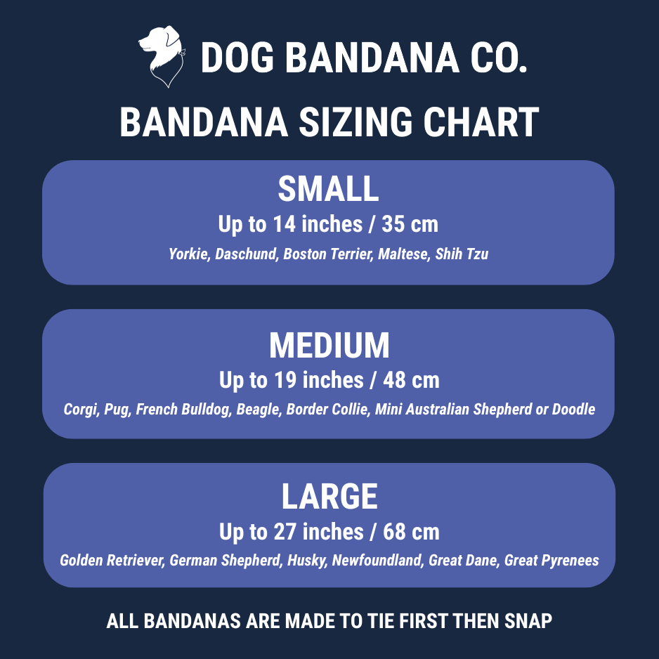 Blue Moon & Lightning Dog Bandana