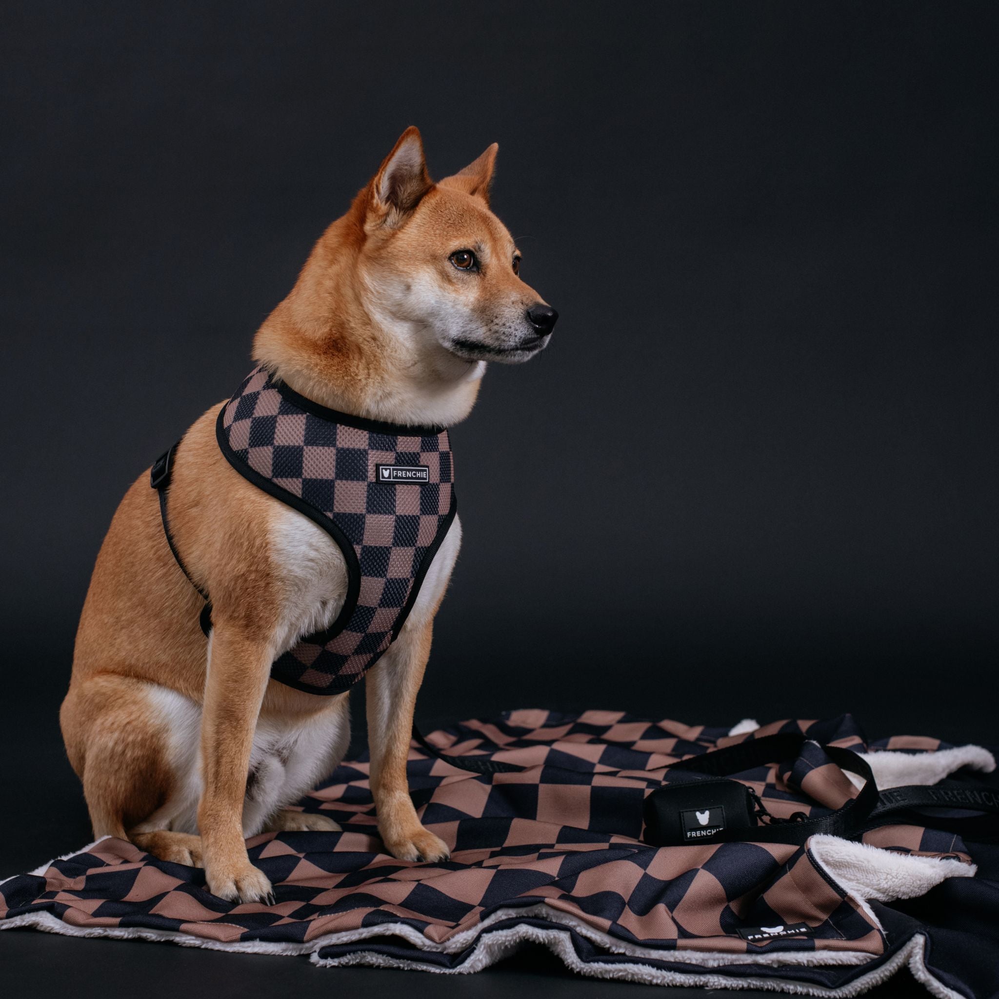 Frenchie Duo Reversible Harness - Solid Black