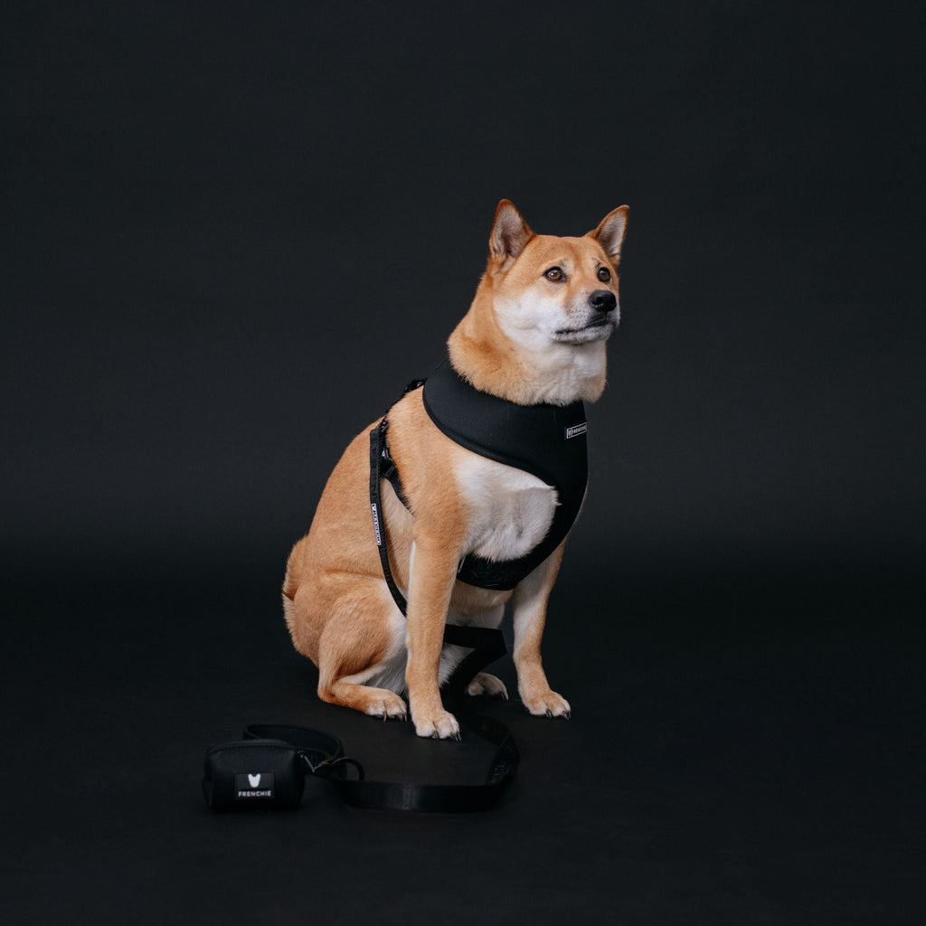 Frenchie Duo Reversible Harness - Solid Black