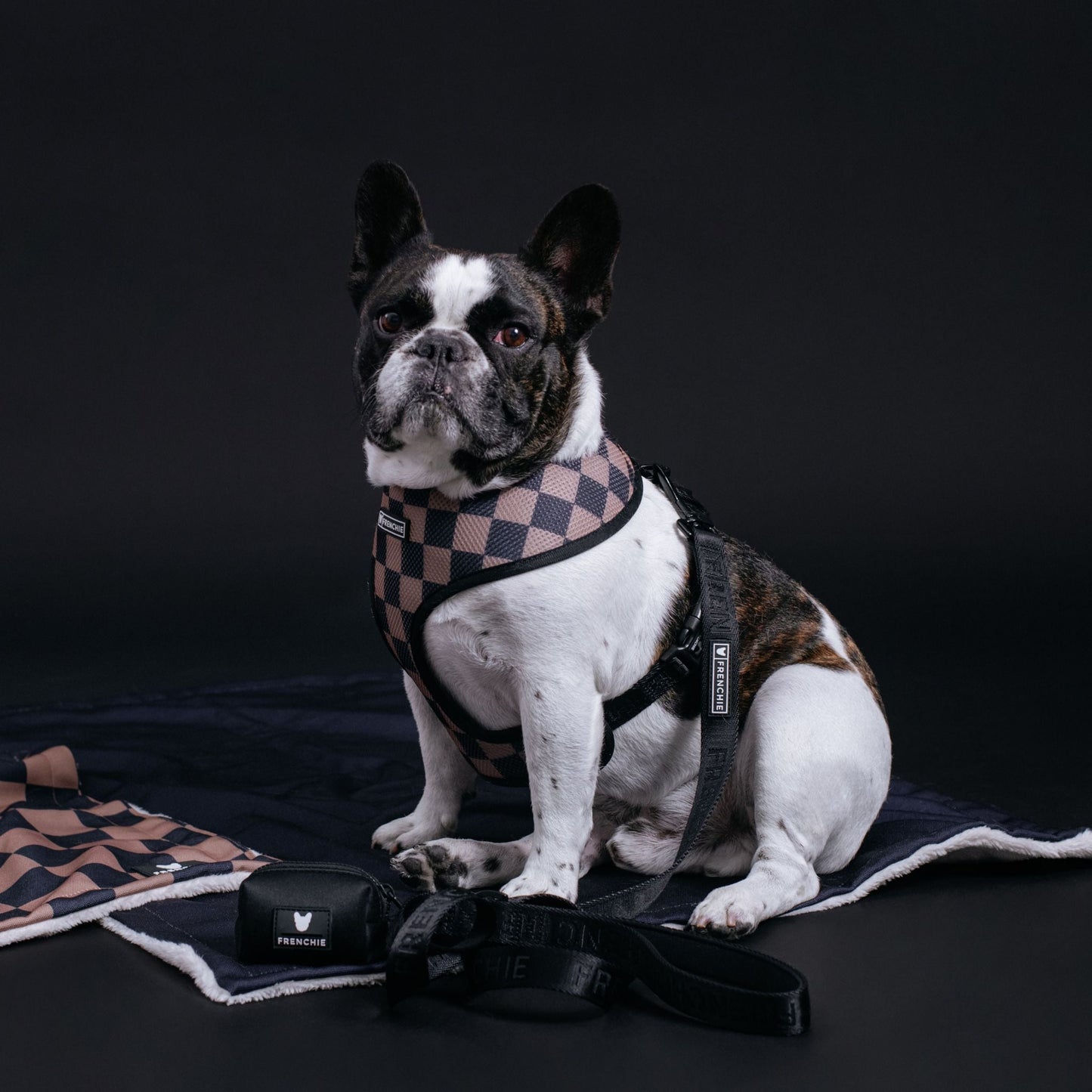 Frenchie Comfort Leash - Solid Black