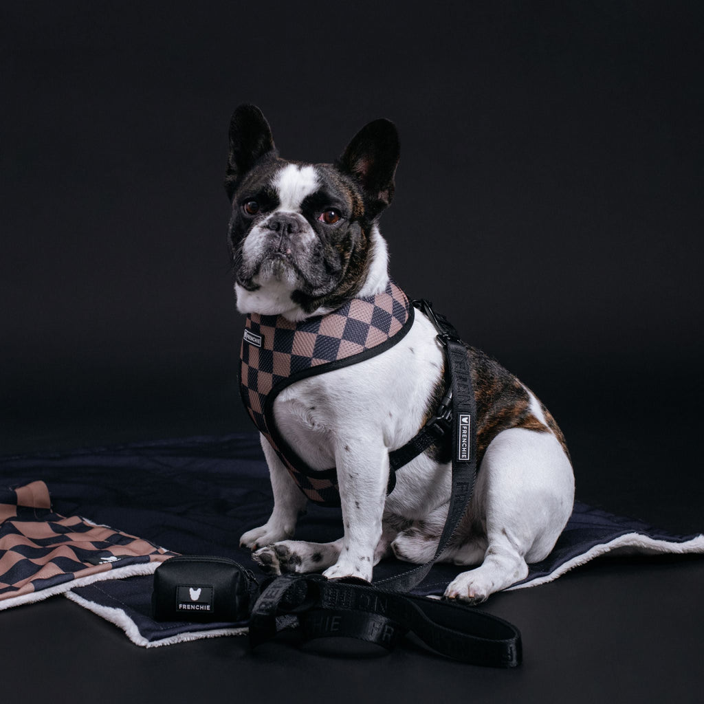 Frenchie Duo Reversible Harness - Solid Black