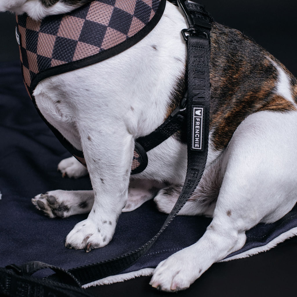 Frenchie Duo Reversible Harness - Solid Black