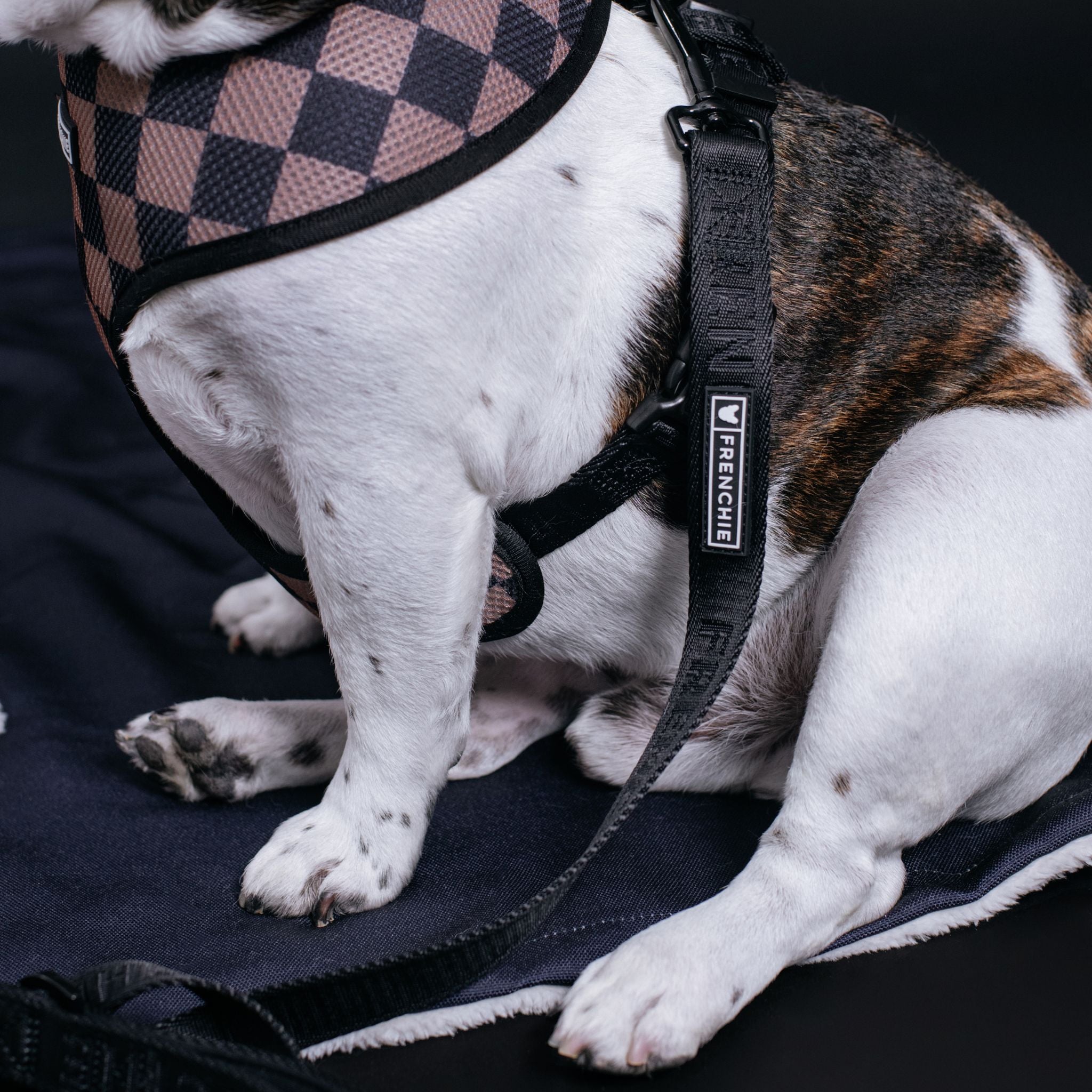 Frenchie Duo Reversible Harness - Solid Black