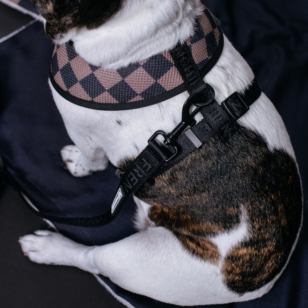 Frenchie Duo Reversible Harness - Solid Black