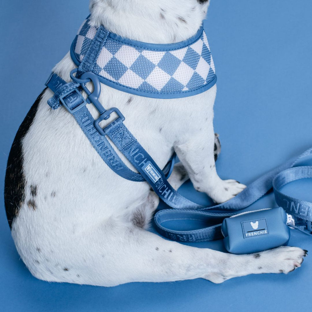 Frenchie Duo Reversible Harness - Solid Blue Steel