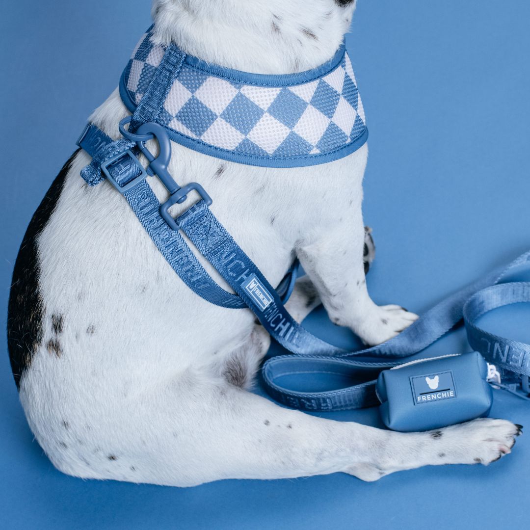 Frenchie Duo Reversible Harness - Solid Blue Steel