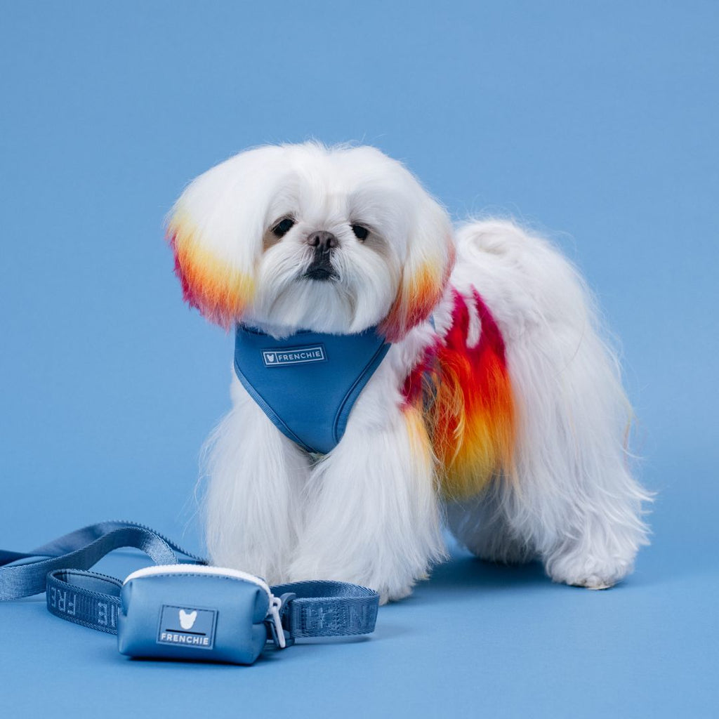 Frenchie Duo Reversible Harness - Solid Blue Steel