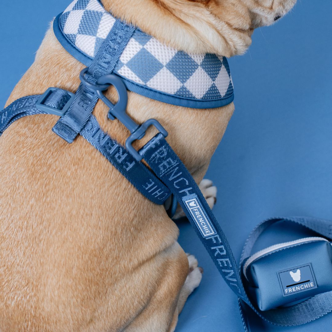 Frenchie Duo Reversible Harness - Solid Blue Steel