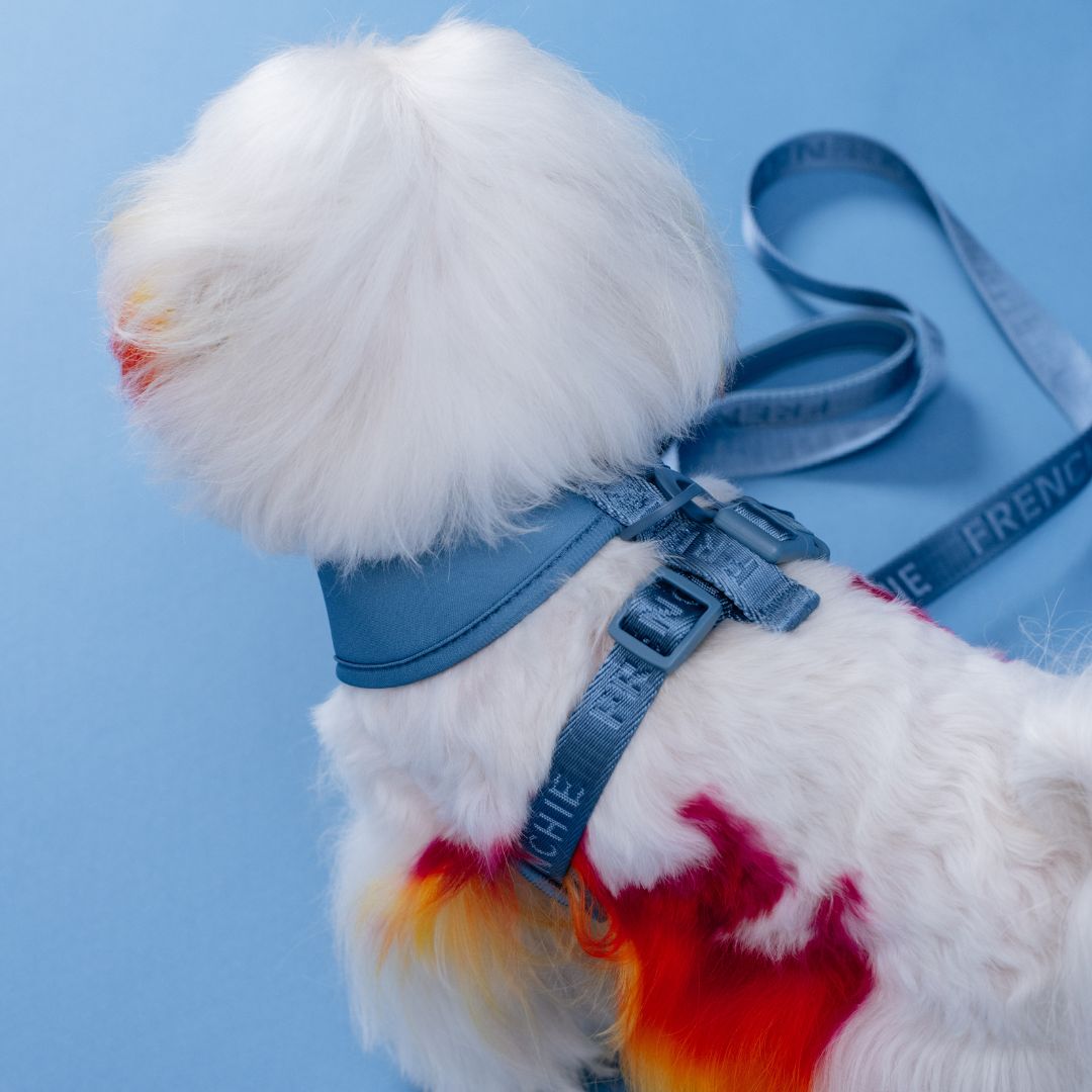 Frenchie Duo Reversible Harness - Solid Blue Steel