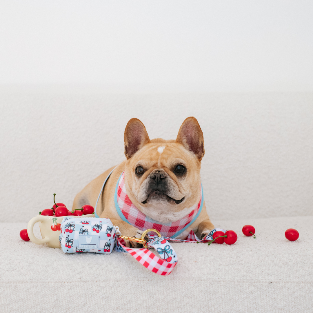 Frenchie Poo Bag Holder - Cherries Blue