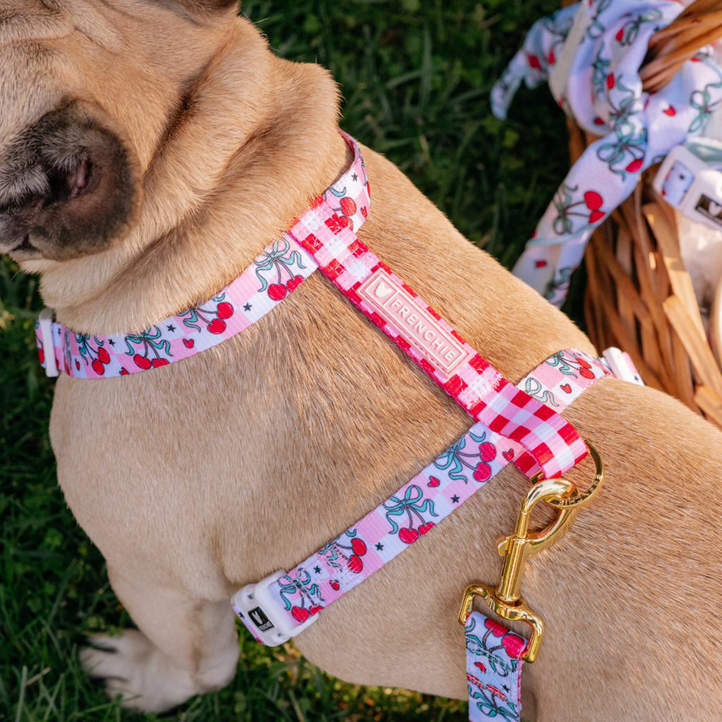 Frenchie Strap Harness - Cherries Red