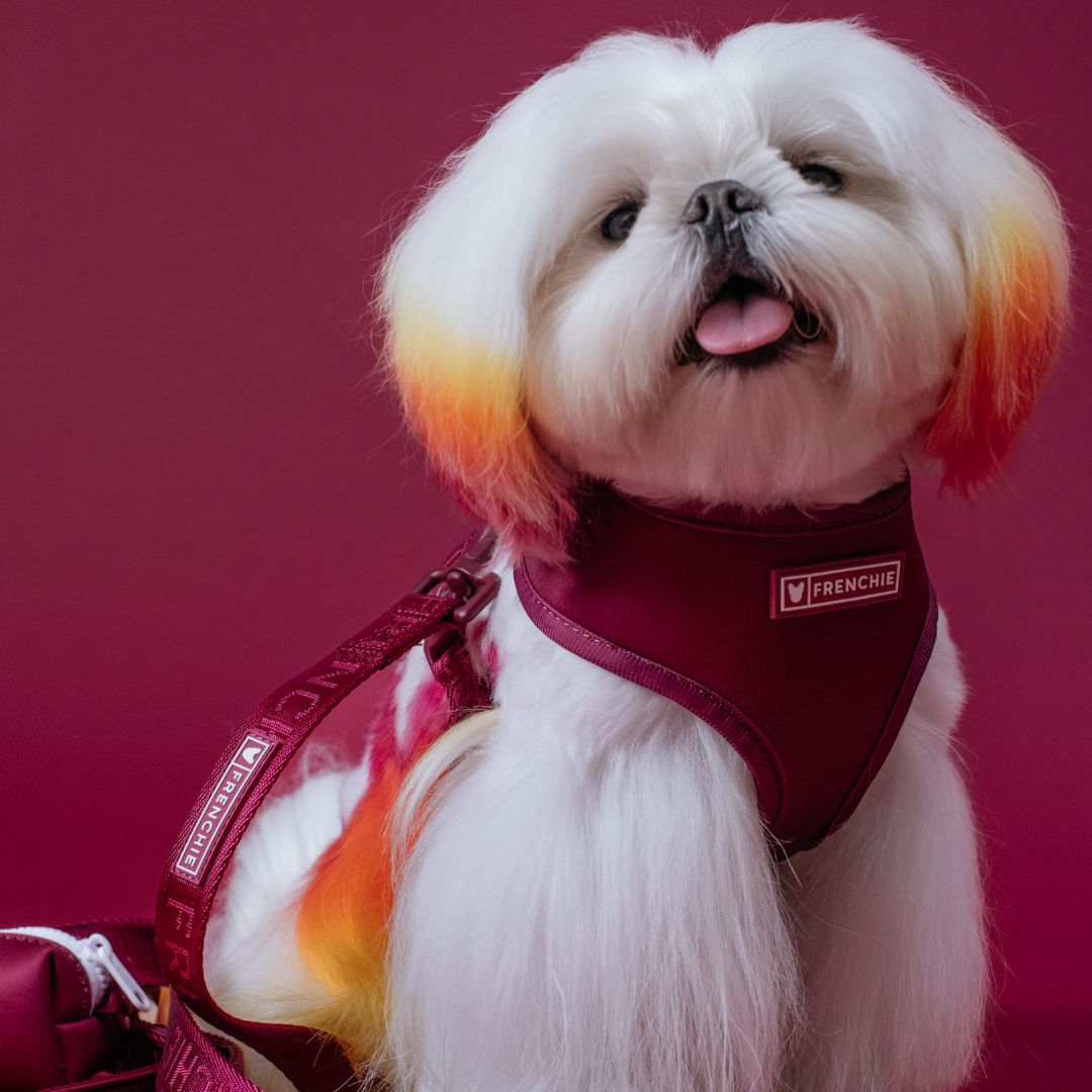 Frenchie Duo Reversible Harness - Solid Ruby