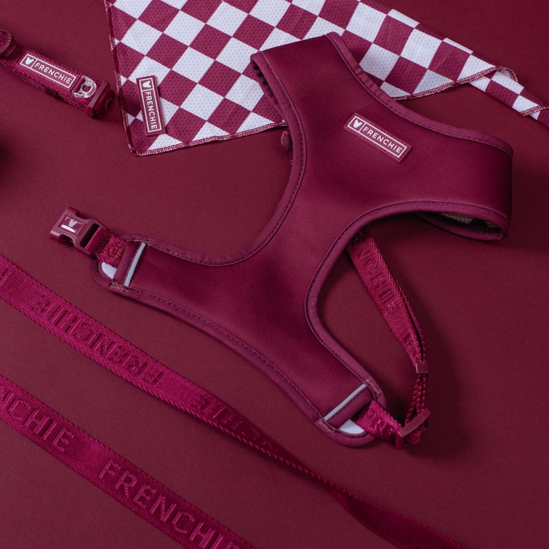 Frenchie Comfort Leash - Solid Ruby