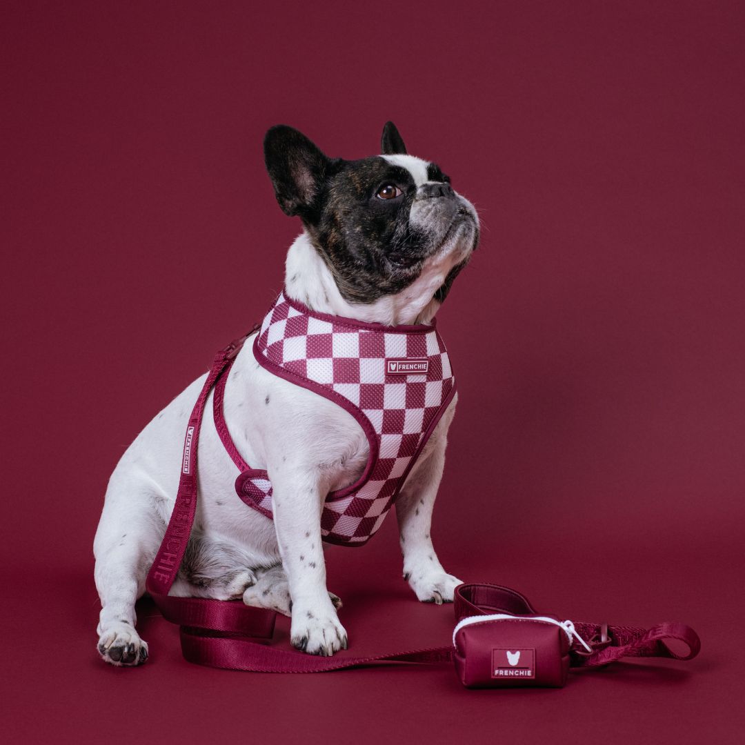 Frenchie Duo Reversible Harness - Solid Ruby