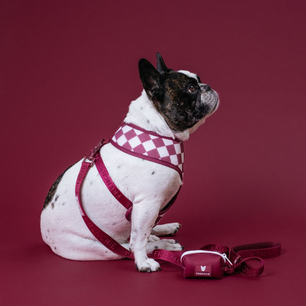 Frenchie Duo Reversible Harness - Solid Ruby