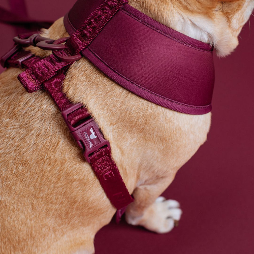 Frenchie Duo Reversible Harness - Solid Ruby