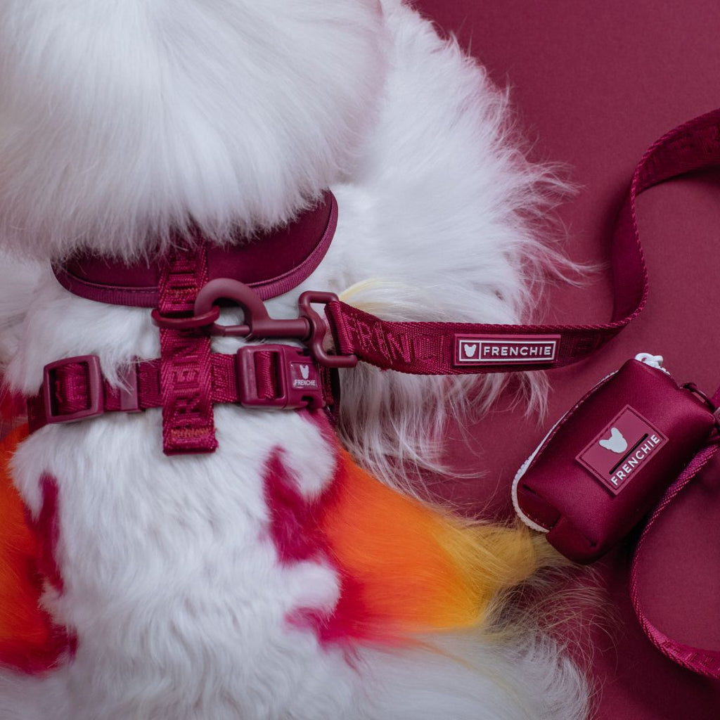 Frenchie Duo Reversible Harness - Solid Ruby
