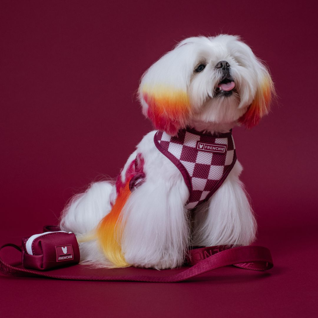 Frenchie Duo Reversible Harness - Solid Ruby