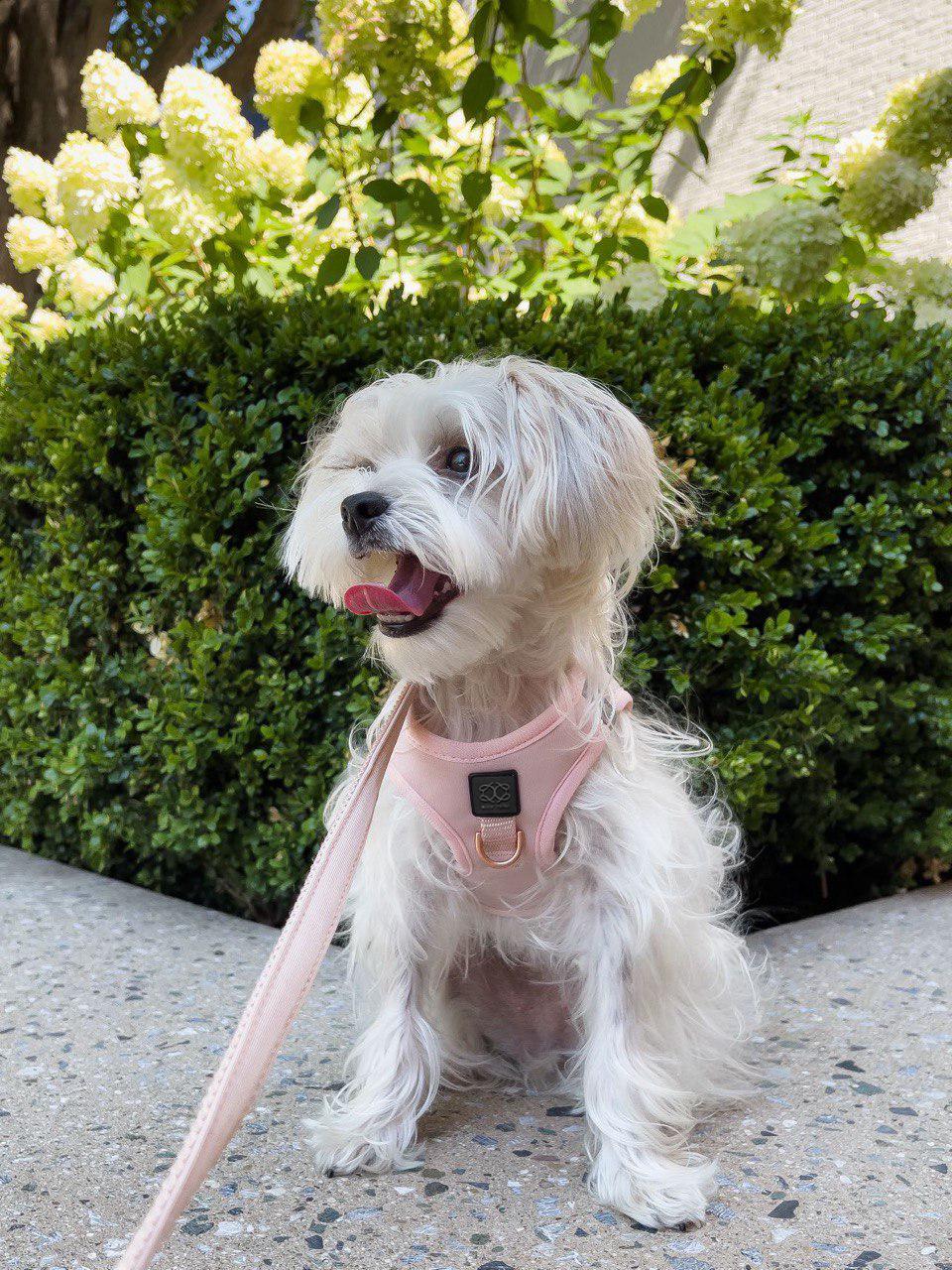 3-in-1 City Dog Leash - Blush