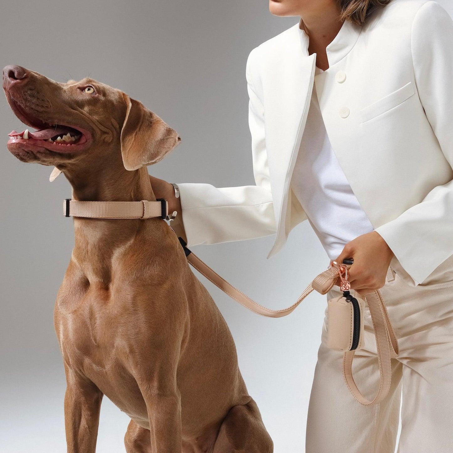 3-in-1 City Dog Leash - Dune