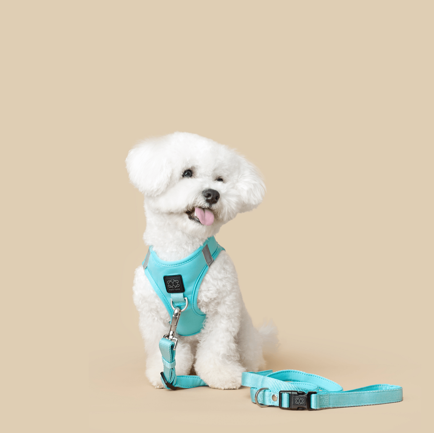 City Dog Leash - Fifth Avenue