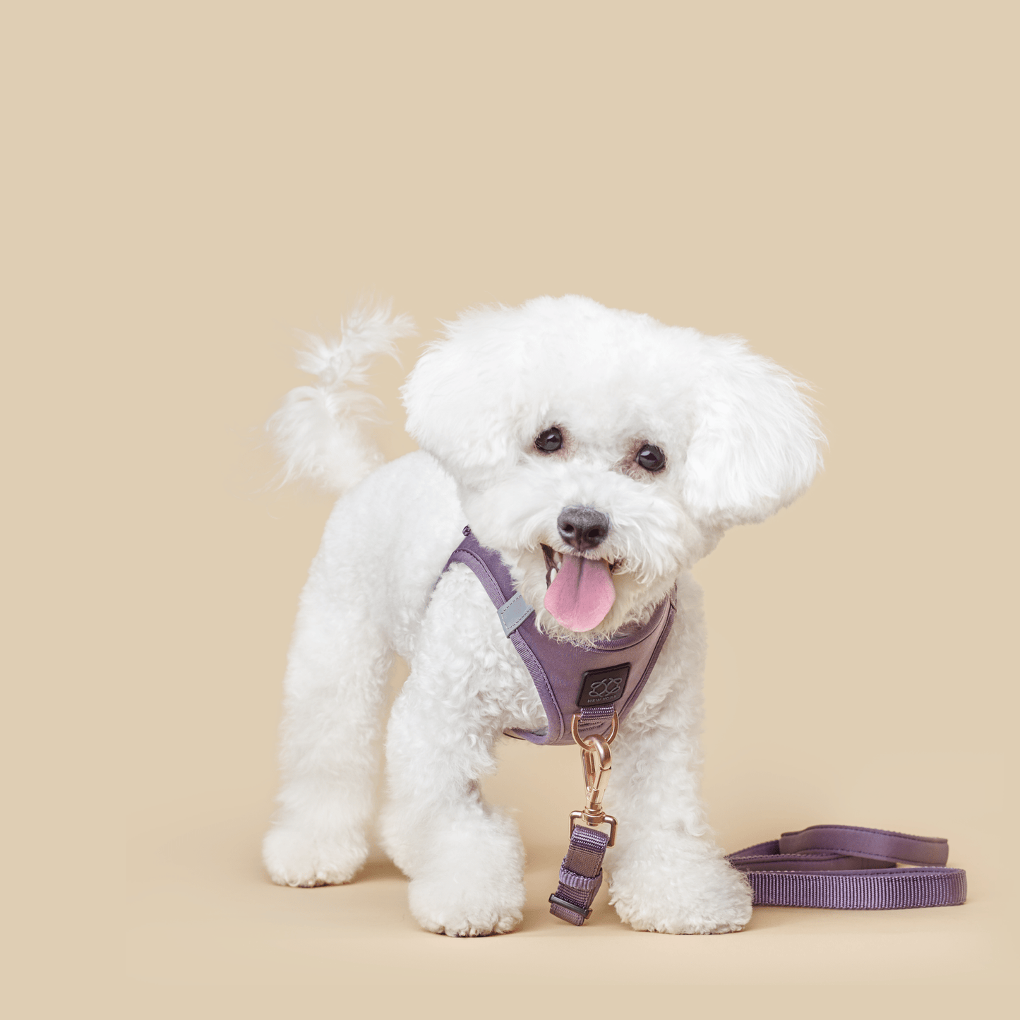 3-in-1 City Dog Leash - Lilac Gray