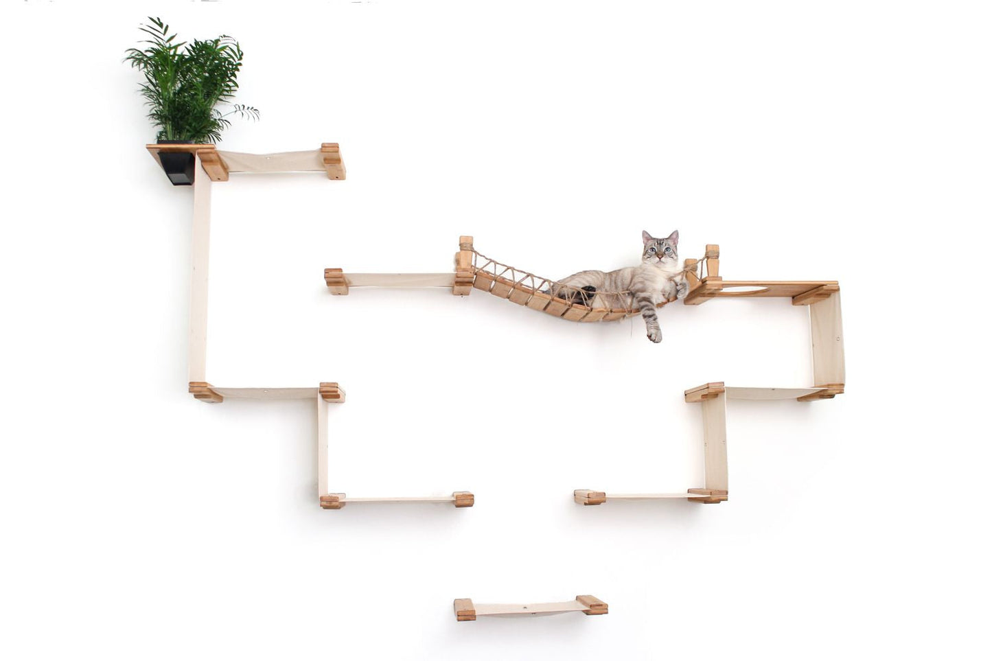 The Temple - Giant Cat Tree on Wall