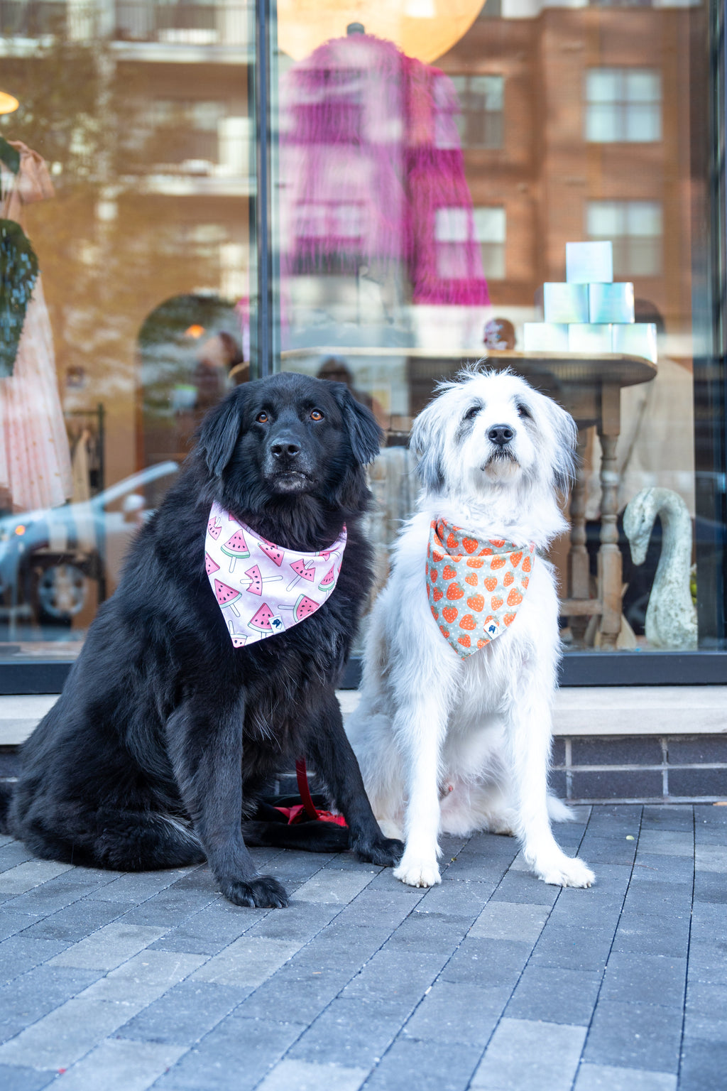 Watermelon & Strawberry Dog Bandana