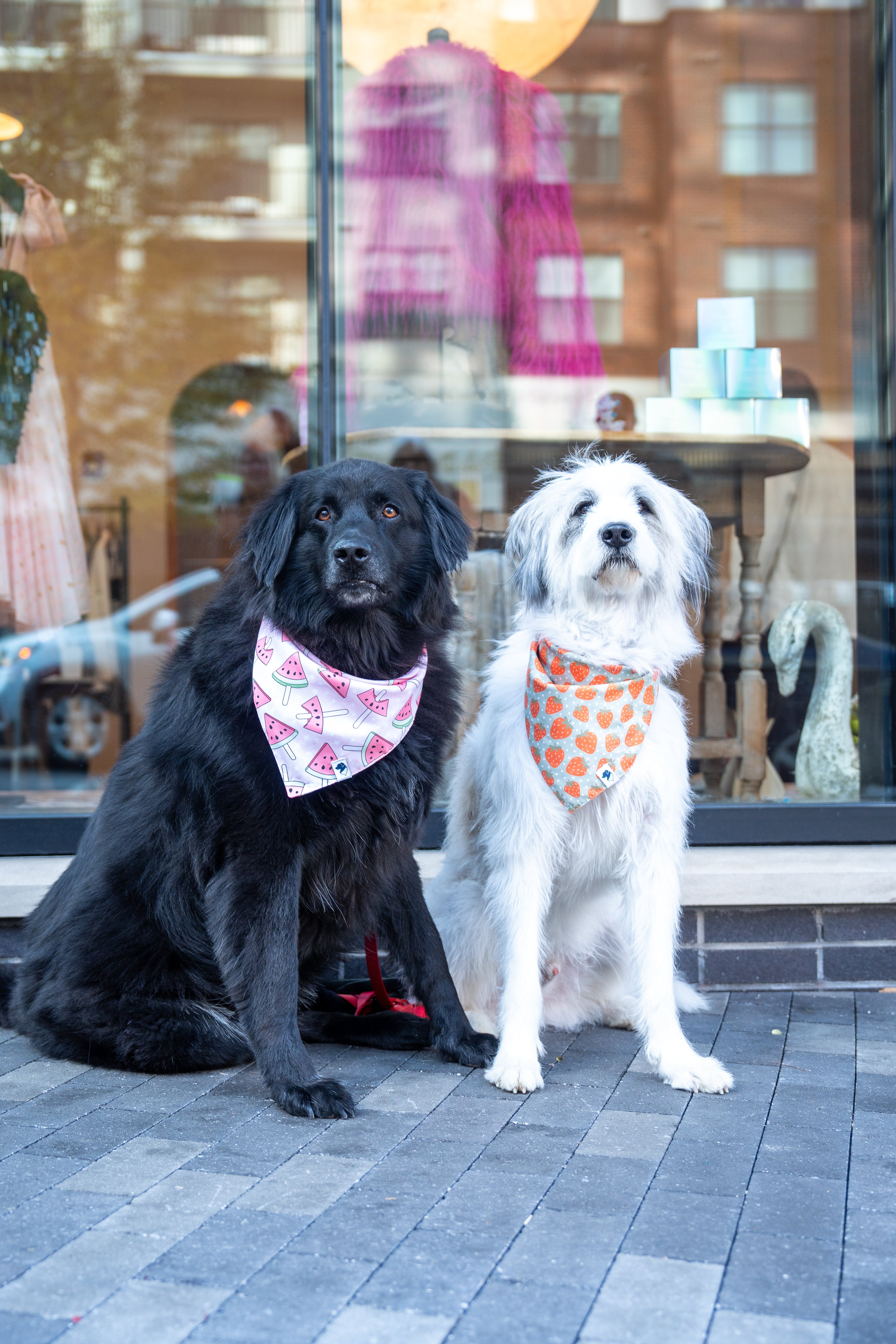 Watermelon & Strawberry Dog Bandana
