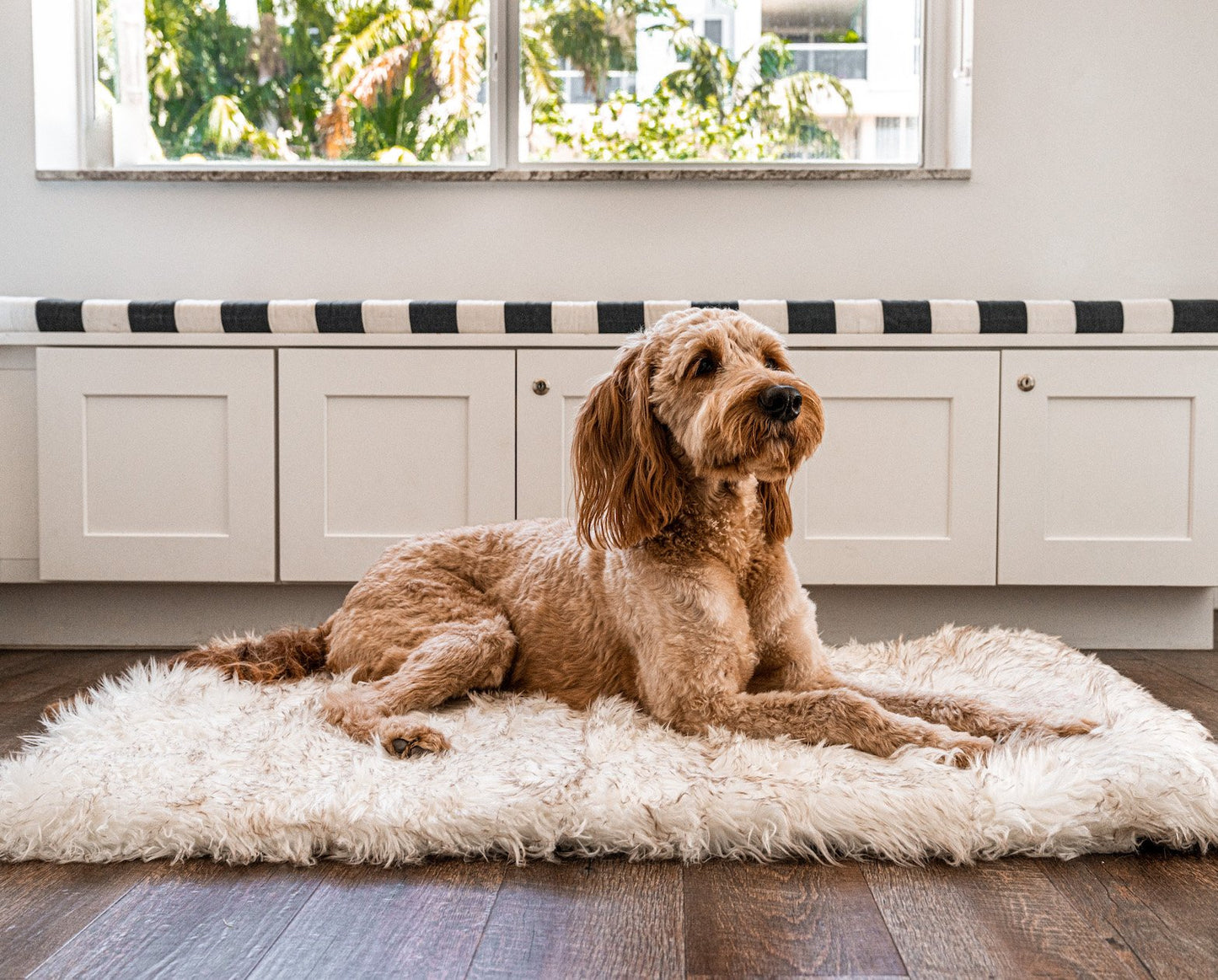 PupRug by Paw.com® Portable Orthopedic Dog Bed - White with Brown Accents