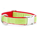 Lime Green/Red Holiday Velvet Essential Martingale Dog Collar