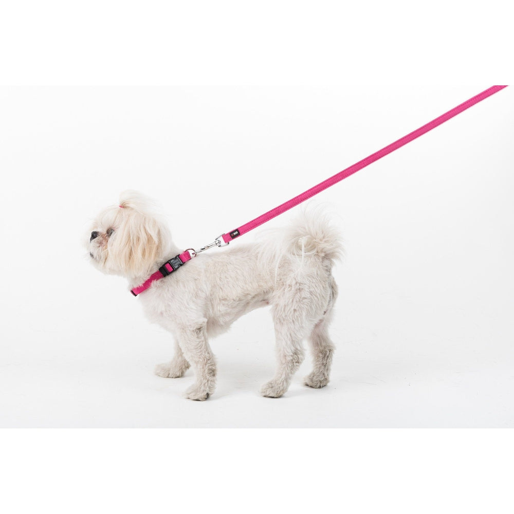 Comfort Microfiber Flat Dog Collar