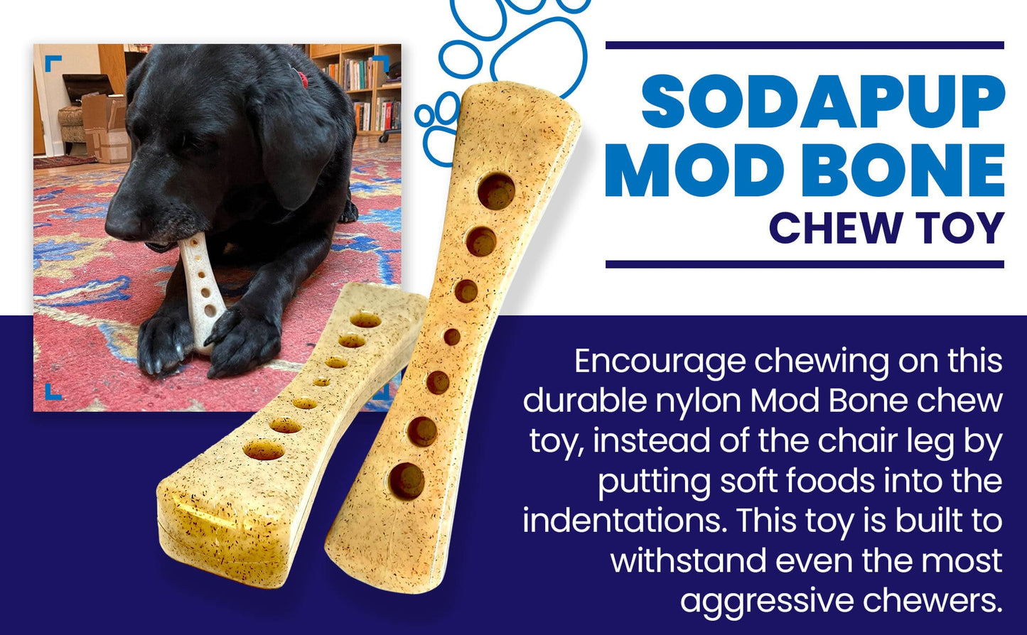 MOD Bone eChew Ultra Durable Nylon Dog Chew Toy
