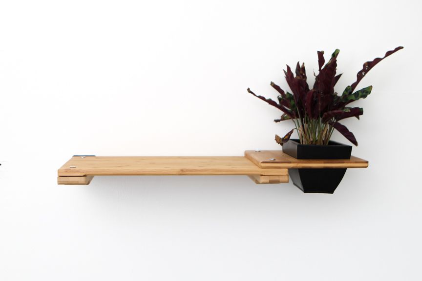 Cat Plant Stand for Wall
