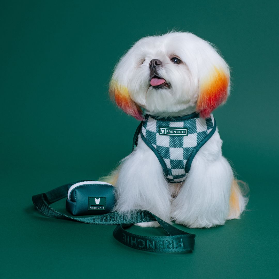 Frenchie Duo Reversible Harness - Solid Emerald City