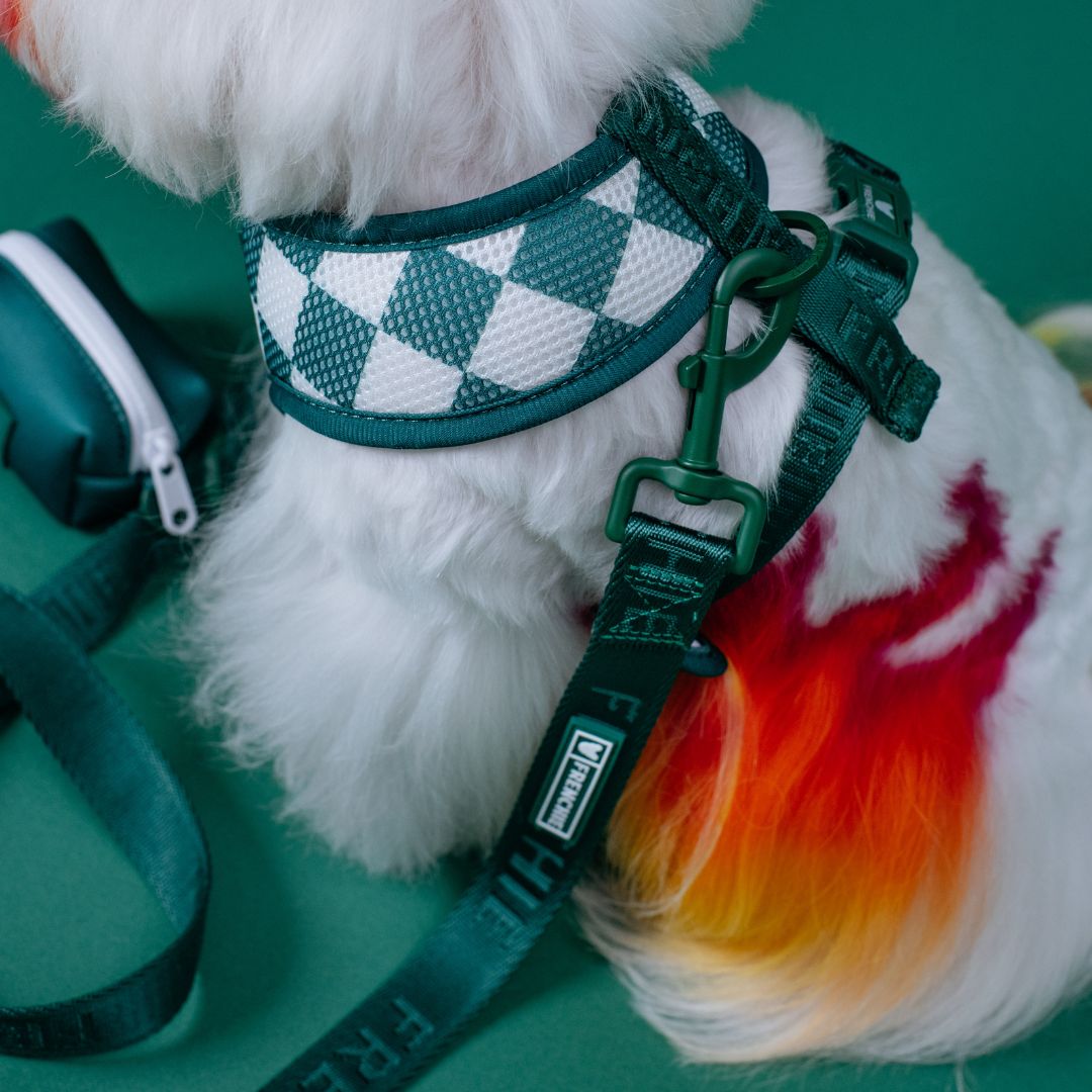 Frenchie Comfort Leash - Solid Emerald City