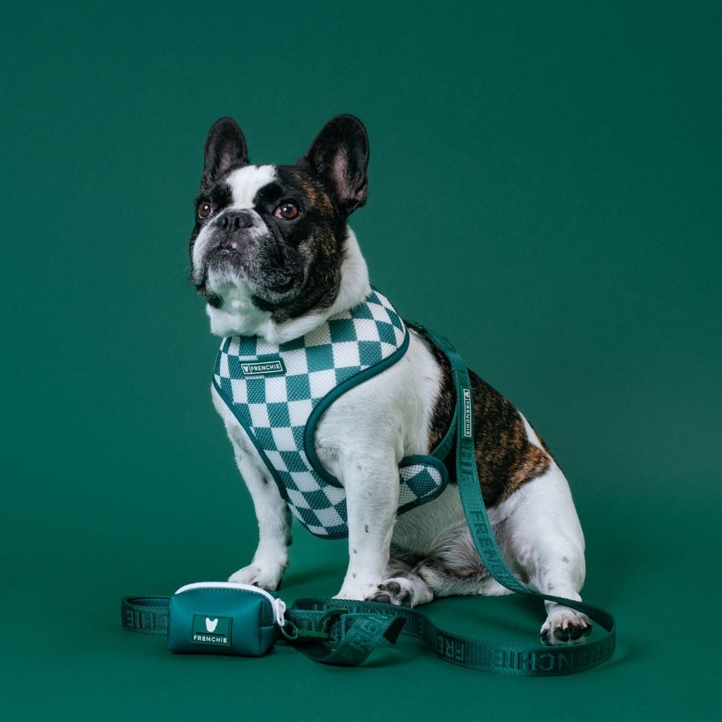 Frenchie Duo Reversible Harness - Solid Emerald City