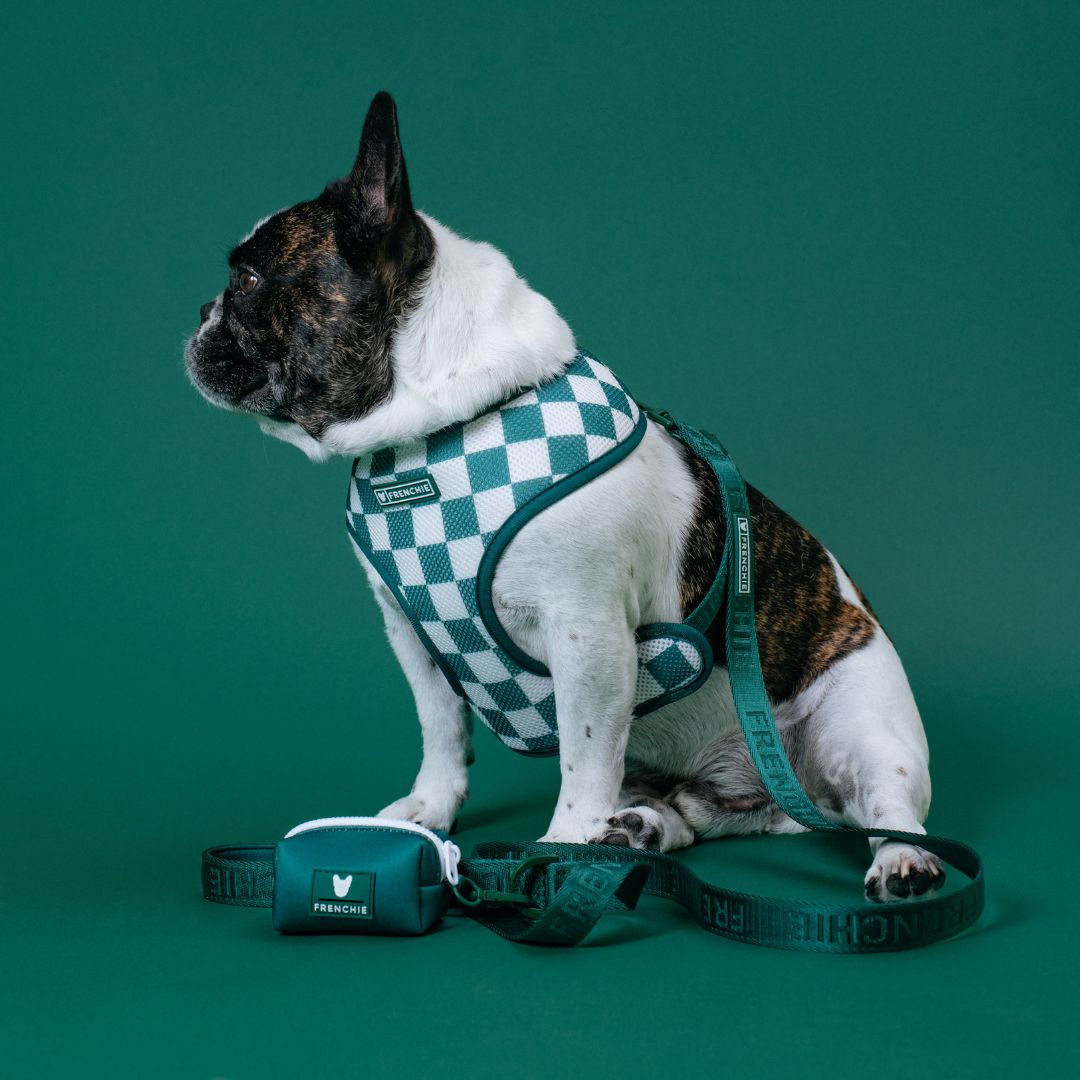 Frenchie Comfort Leash - Solid Emerald City