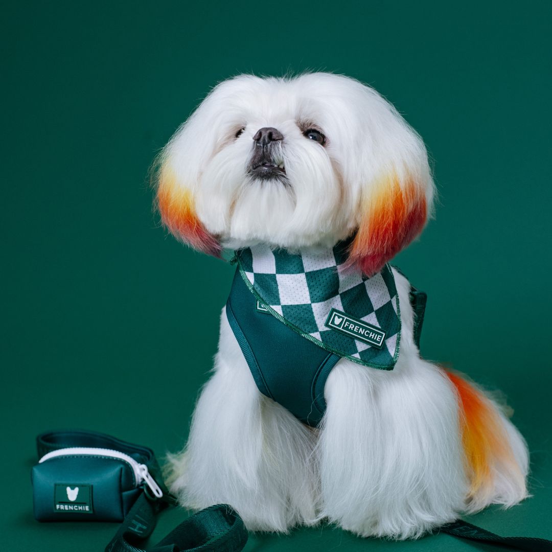 Frenchie Duo Reversible Harness - Solid Emerald City