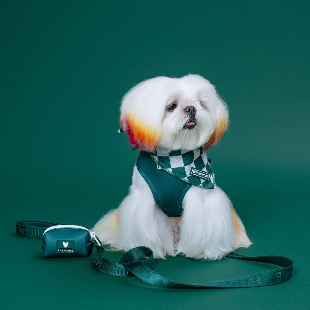 Frenchie Comfort Leash - Solid Emerald City