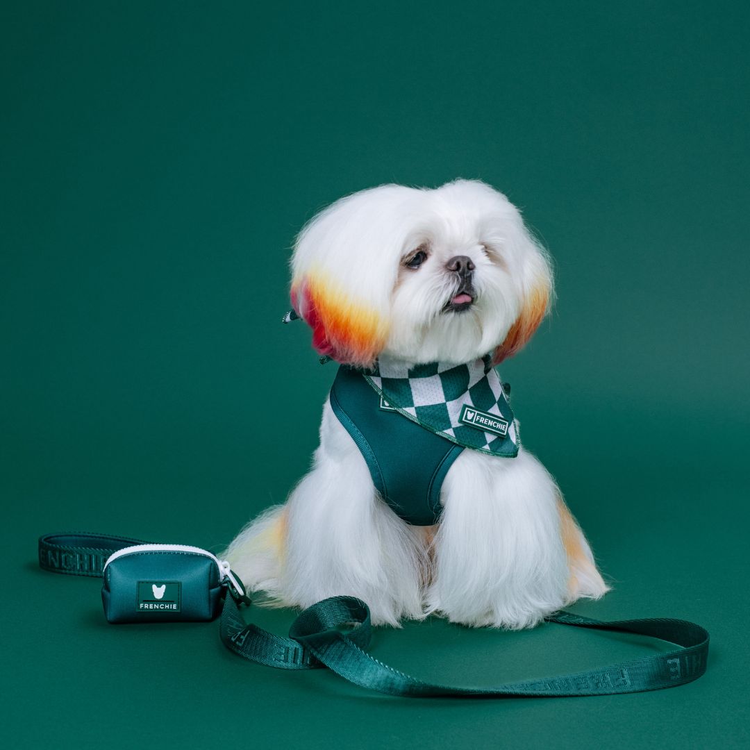 Frenchie Comfort Leash - Solid Emerald City