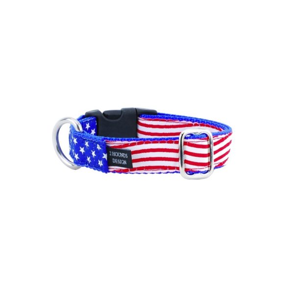 #1 1″ Stars and Stripes Essential Buckle Martingale Dog Collar