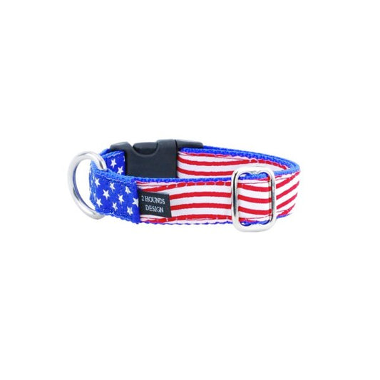 #1 Stars and Stripes Essential Buckle Martingale Dog Collar