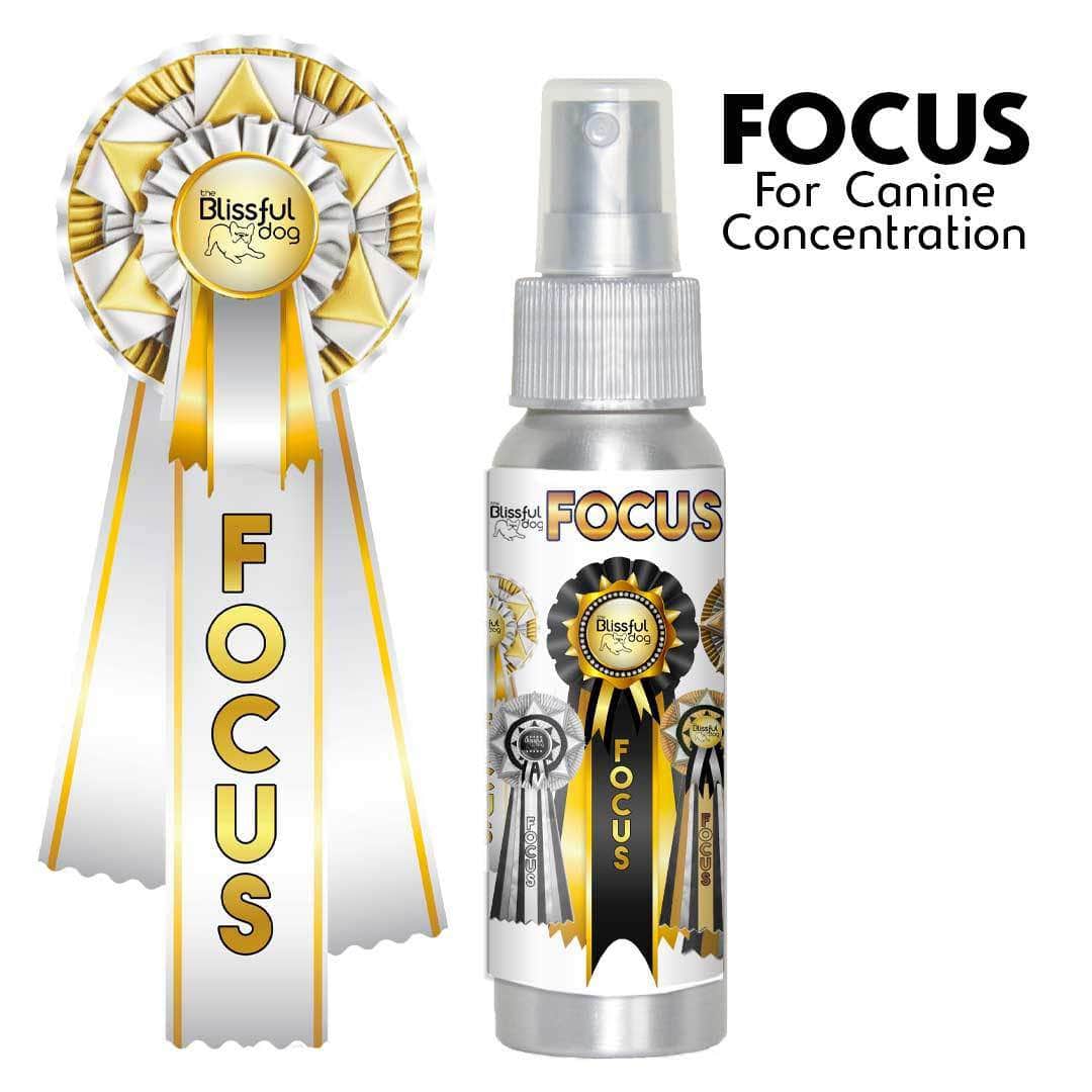 Focus Dog Aromatherapy