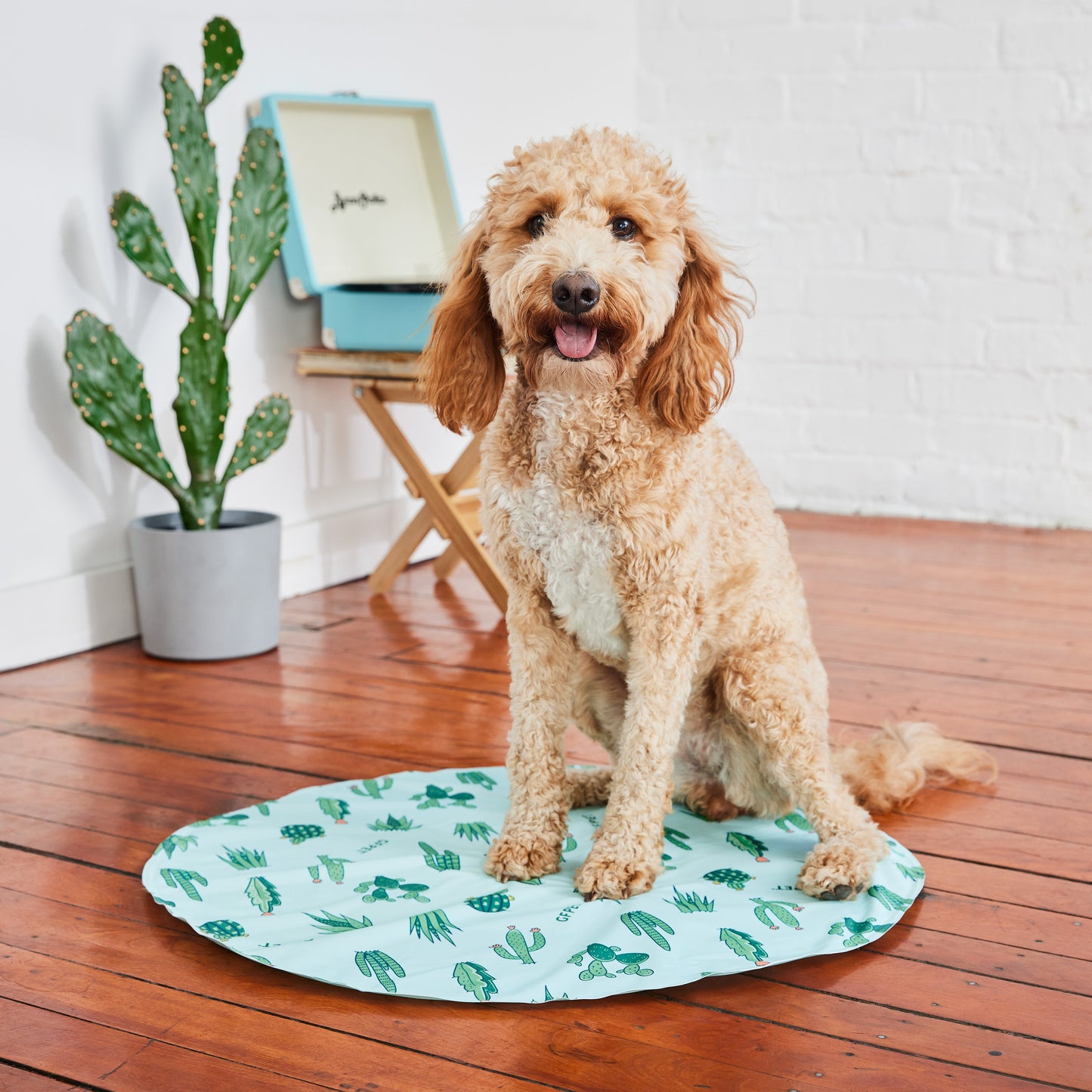 GF Pet Ice Mat