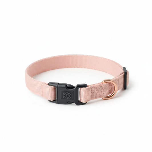 City Collar - Blush
