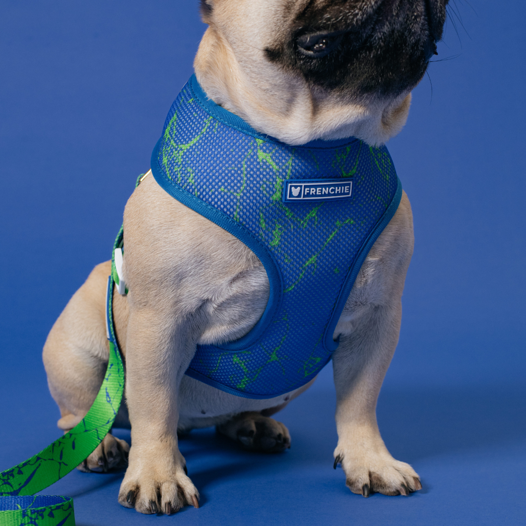 Frenchie Duo Reversible Harness - Green Marble