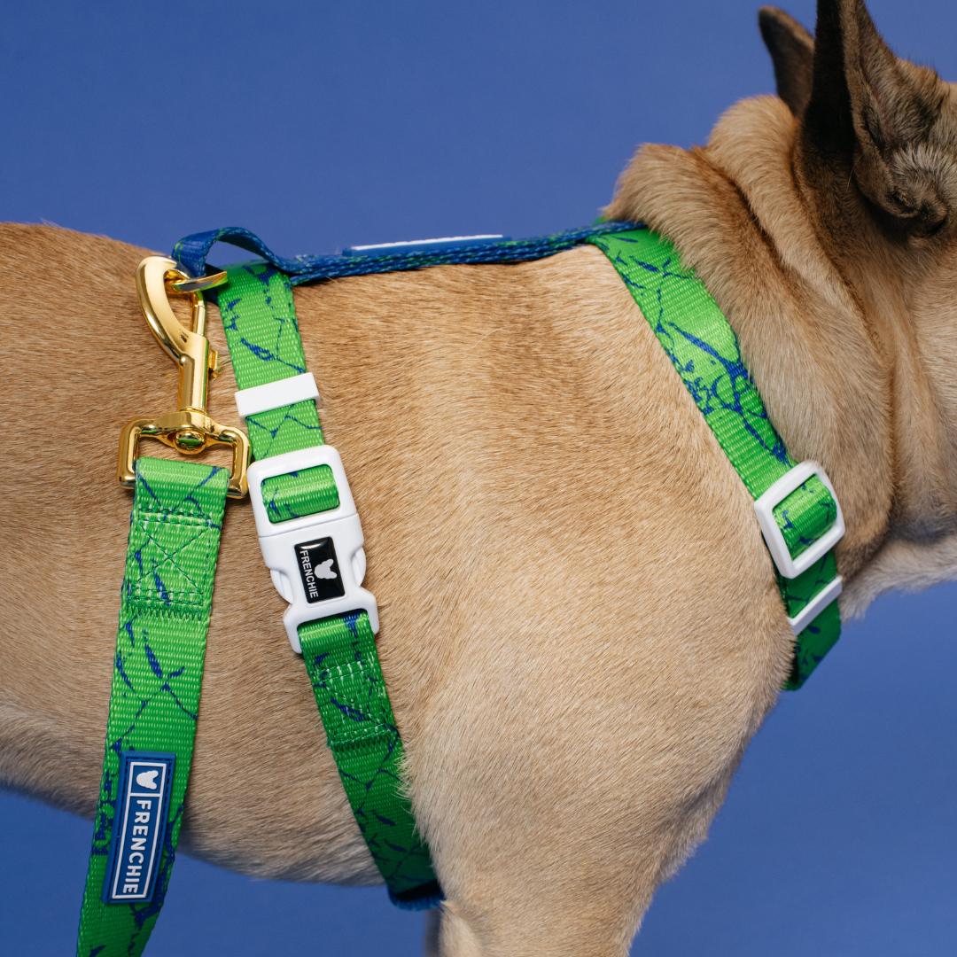 Frenchie Strap Harness - Green Marble