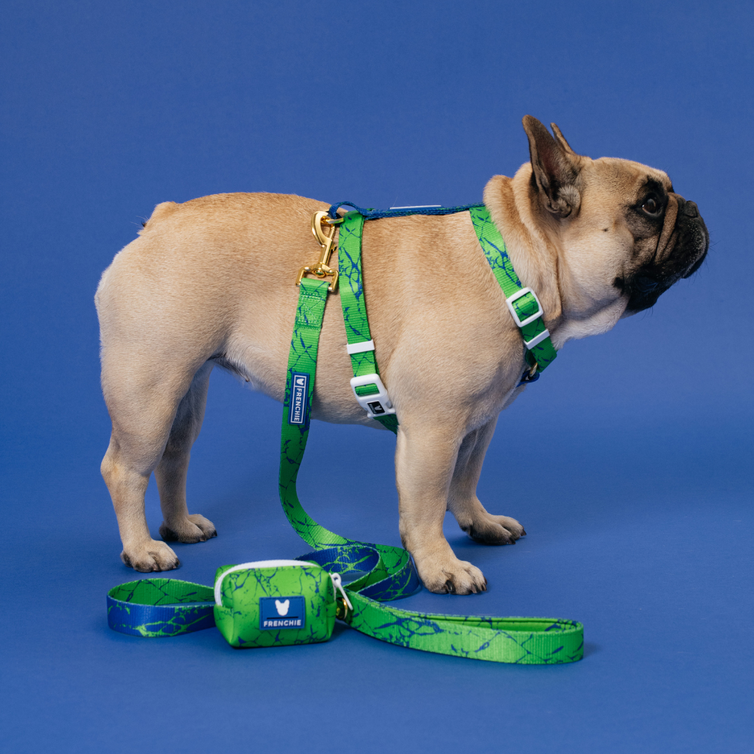 Frenchie Poo Bag Holder - Green Marble