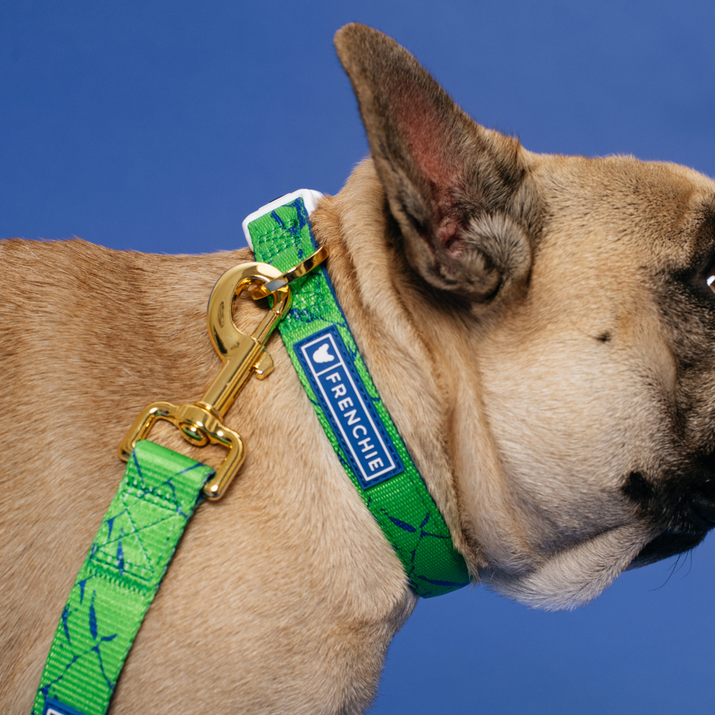 Frenchie Comfort Collar - Green Marble